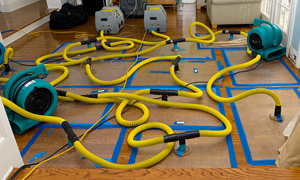 Professional Burst Pipe Water Damage technician working in Englewood, OH